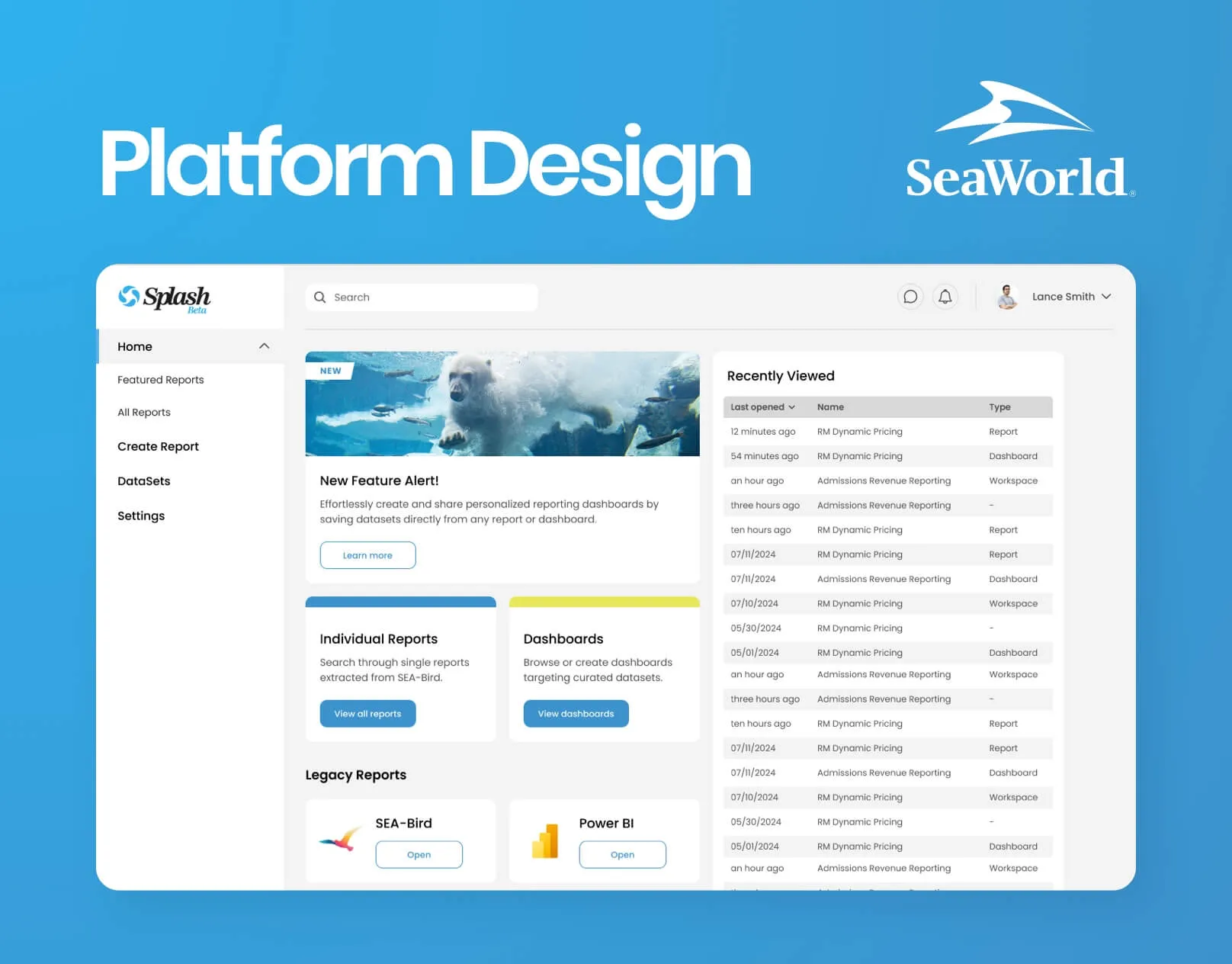 SeaWorld Splash reporting dashboard preview